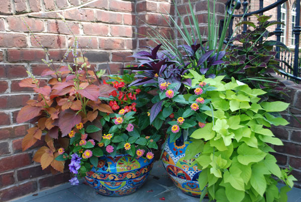 Queens, NY Landscaping & Gardens